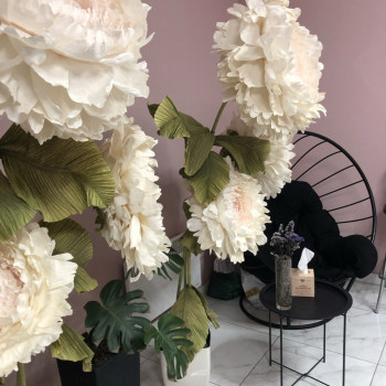 МІА, Умань Фото - 12