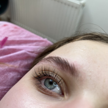 Ламі вій та брів