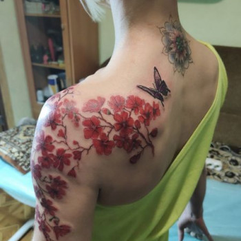 Сергiй , Кривий Ріг Фото - 21