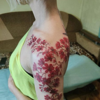 Сергiй , Кривий Ріг Фото - 14