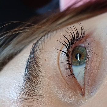 Ламінування вій
                    Салон красоты Sargan Beauty Space Киев