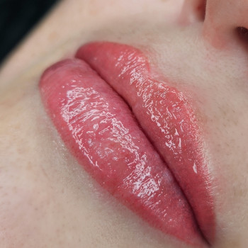 Акварельні губки  