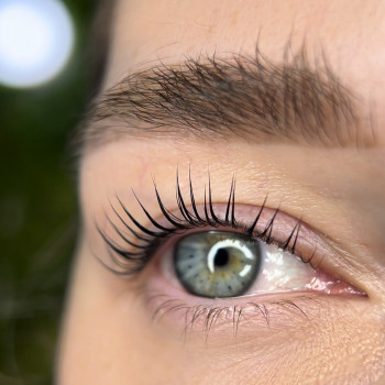 Ламінування вій
                    Бровіст Татьяна Дніпро