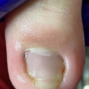 Галина Франчук, Львів Фото - 26