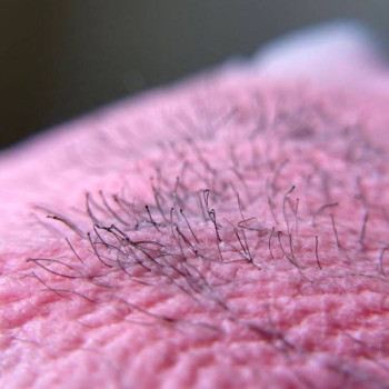 Оксана Керекеша, Сміла Фото - 5