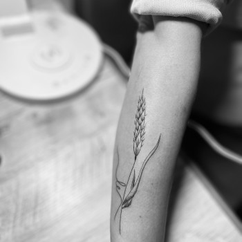 Тетяна Шевчук, Бердичев Фото - 70