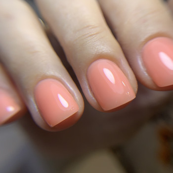 Тася Пальчик, Київ Фото - 7