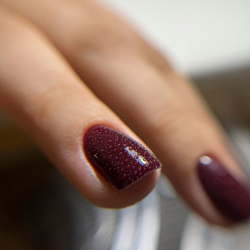 Тася Пальчик, Київ Фото - 13