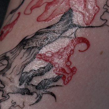 Алина Цехмейструк, Київ Фото - 1