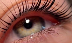 Ламінування вій + фарбування + ботокс Бровіст  Дніпро