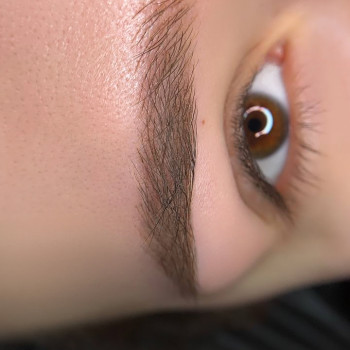 Комбінова техніка «волоски + пудра»
                    Бровист Ольга Черкассы