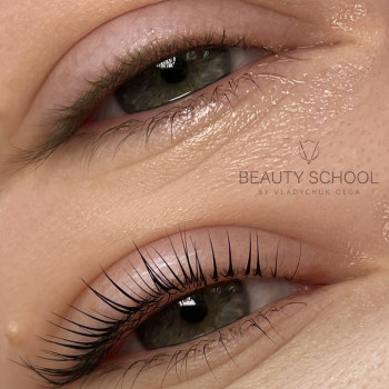 Ламінування  вій
                    Бровист Ольга Черкассы