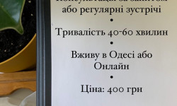 Консультація за запитом (регулярні зустрічі) Психолог Максим Одесса