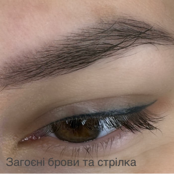 Татуаж
                    Майстер перманентного макіяжу Анна Краматорськ