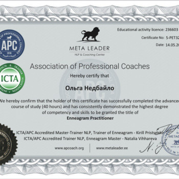 Практик в майстер Еннеаграмми