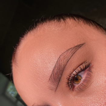 Каркас брів перед процедурою