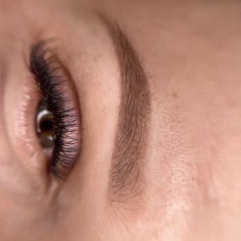 Загоєні пудрові брови