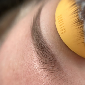 Загоєні пудрові брови