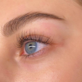 Вії / брови
                    Лешмейкер  Киев