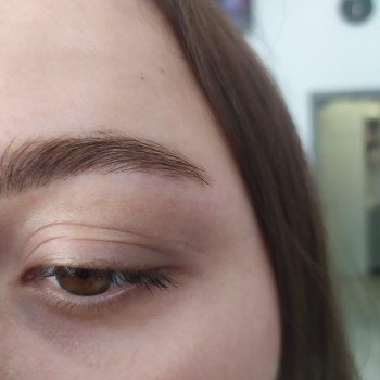 Корекція брів
                    Бровіст  Хмельницький