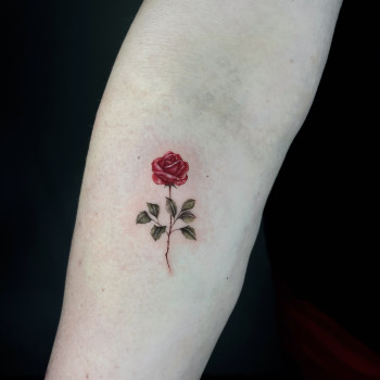 Тату на руке роза цветы, фото - Тату салон TATTOO LAMARCH