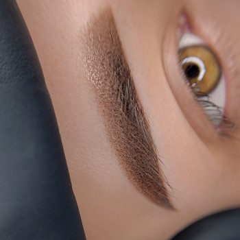 Пудровые брови