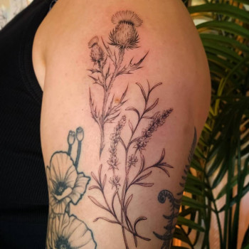 Святослав Талызин, Одеса Фото - 1