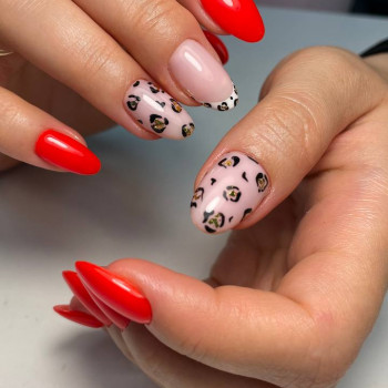 Beauty Space, Киев Фото - 22