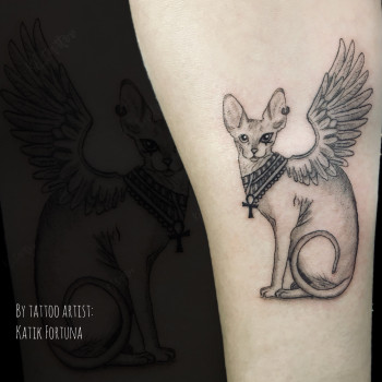 Katik Fortuna, Днепр Фото - 14