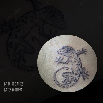 Katik Fortuna, Днепр Фото - 13