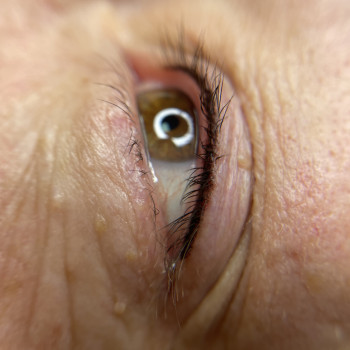 Анжеліка Писаренко, Київ Фото - 8