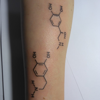 Елена Ломоносова-Гойстер, Киев Фото - 20