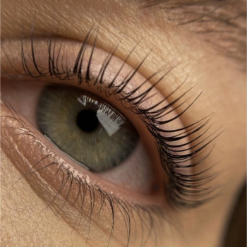 Ламінування вій Люкс
                    Лешмейкер Инга Киев