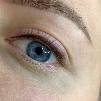 Міжвійка з тушовкою