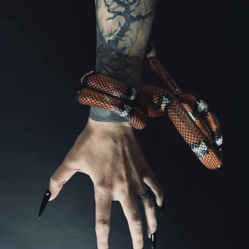 Татуювання
                    Тату салон Pain Street Tattoo Харьков