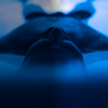 Floatdao, Харьков Фото - 5