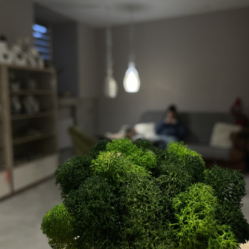 Floatdao, Харьков Фото - 8