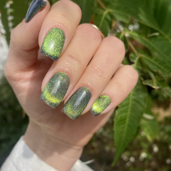Марія Nails, Киев Фото - 12