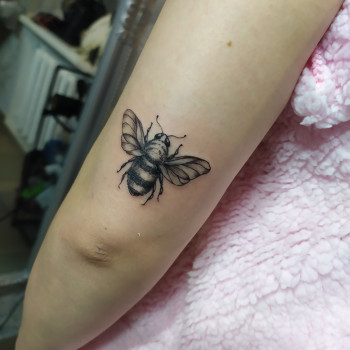 Алена Мельник, Дніпро Фото - 56