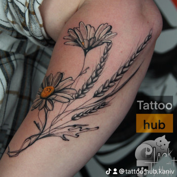 Татуювання
                    Тату салон  Канів