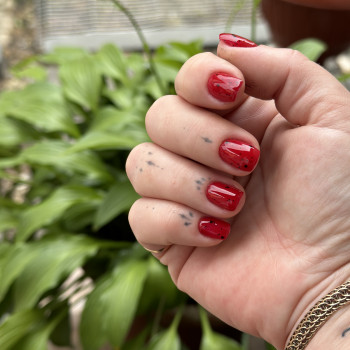 Тетяна Краснопольська, Житомир Фото - 17