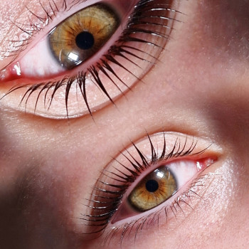 Ламінування вій (комплекс)
                    Бровист Юлия Киев