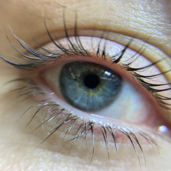 Ламінування вій
                    Бровист Алла Полтава