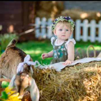 Дитяча та Сімейна Фотосесія: Щирі Миті Щастя
                    Фотограф Виталий Запоріжжя