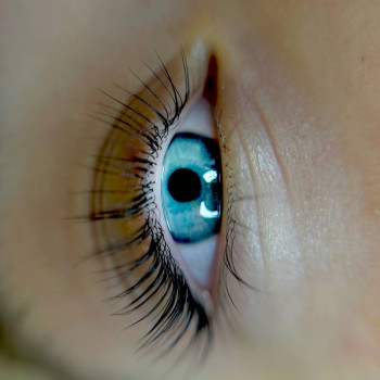 Людмила Грицай, Київ Фото - 15