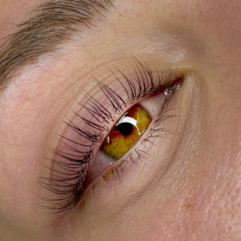 Людмила Грицай, Київ Фото - 10