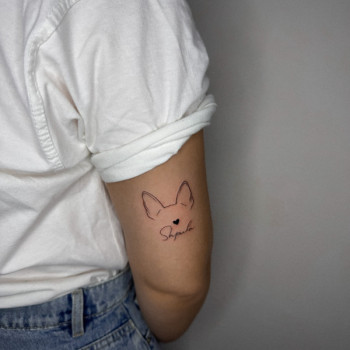 Тату  , фото - Мастер перманентного макияжа Наталия Ничипоренко Олар