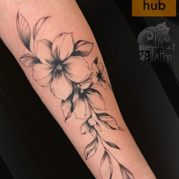 Татуювання
                    Тату салон  Канів