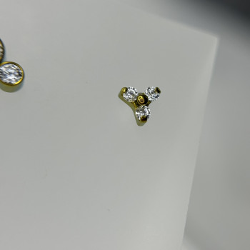 Заміна прикраси
                    Мастер по пирсингу Аеліта Кременчуг