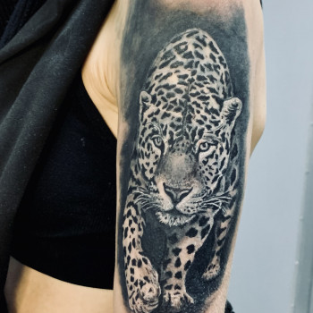 Тату ягуар, фото - Тату майстер Володимир Сорока